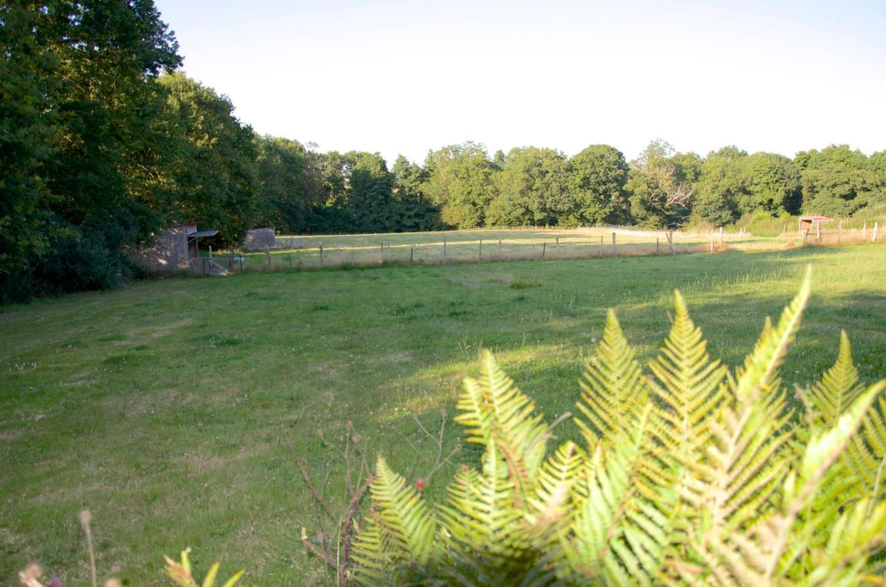 Gite Le Champ Libre Dompierre-Sur-Yon ภายนอก รูปภาพ